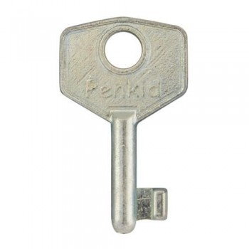 Penkid Locking Cable Restrictor Key ONLY