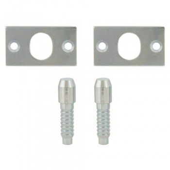TSS Security Hinge Bolts